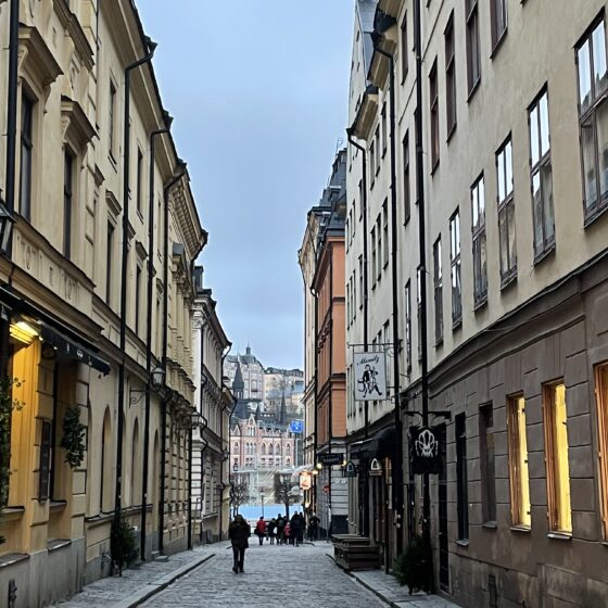 Stockholm gezisi